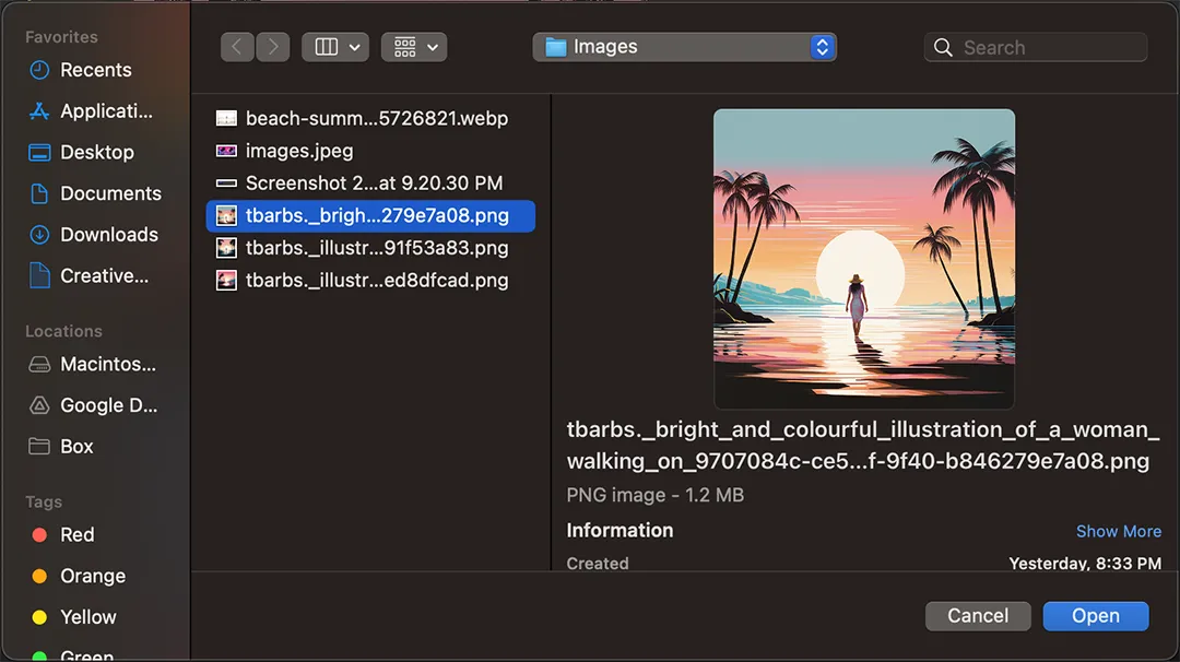 Finder window selecting Miami Vice image